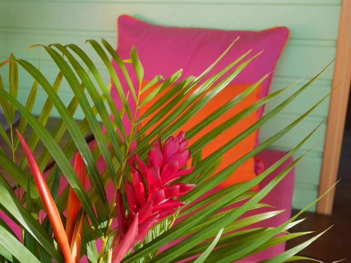 Hébergement de vacances La Joupa case Anthurium Sainte-Rose