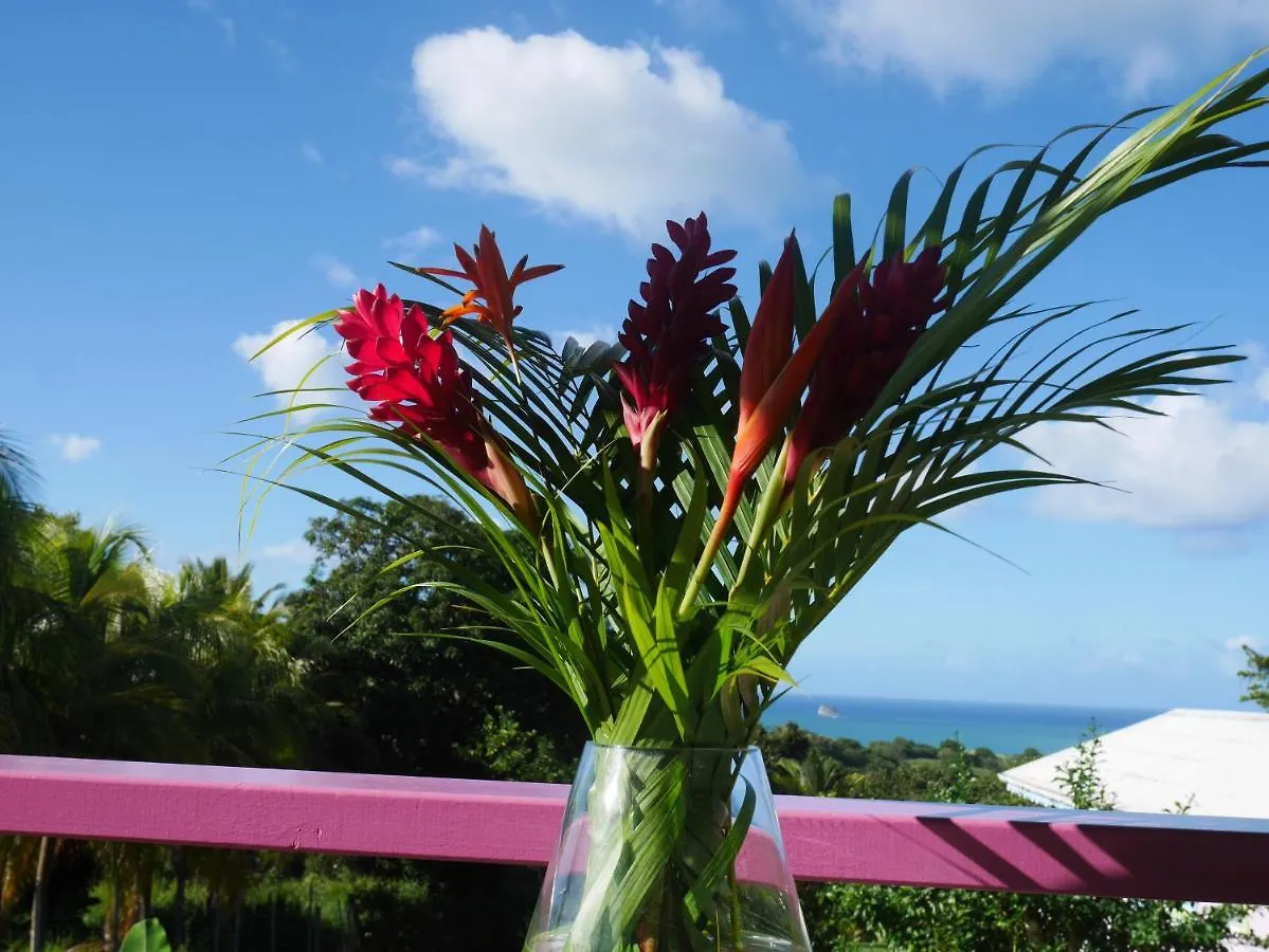 La Joupa case Anthurium Sainte-Rose Hébergement de vacances